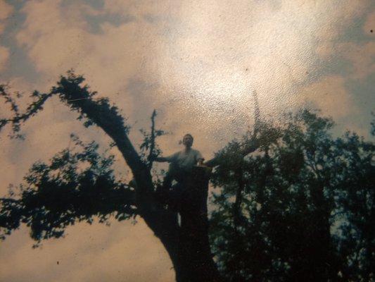 Papi Business and Son and Family