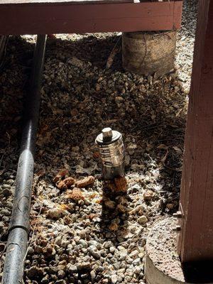 Deluxe Rooter Sewer & Drain Service