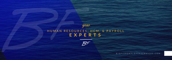 Big Fish Employer Services Social Banner