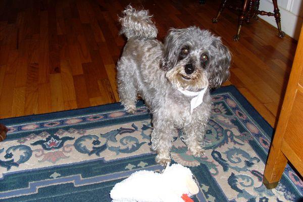 Brunswick Animal Hospital