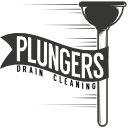 Plungers