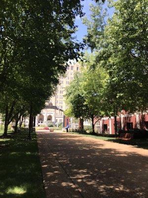Saint Louis University School of Medicine