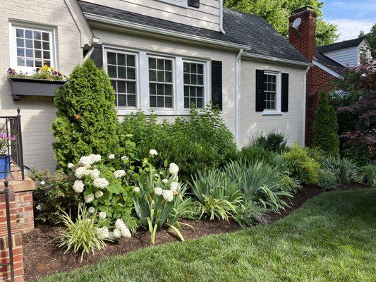 Plant Installation for beautiful front beds