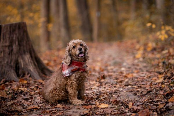 Fiorella Photography