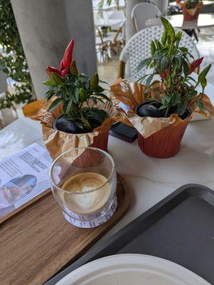 Outdoor seating pepper display