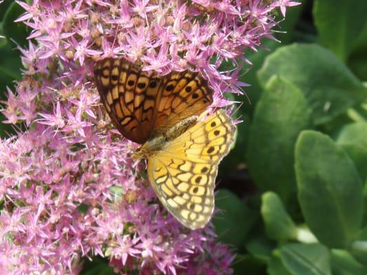 Garden Architecture, LLC