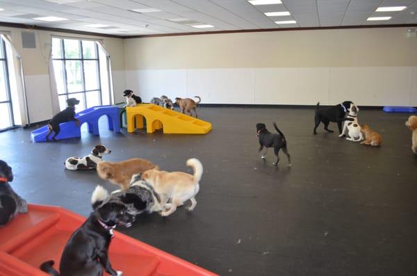 Greenlin Pet Resorts