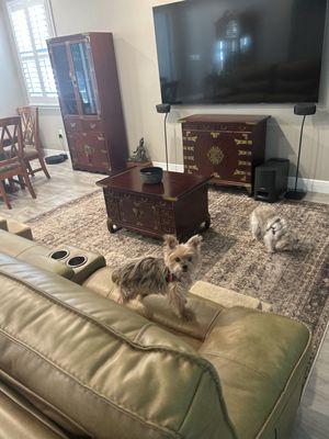 Orange Sweep Cleaning Services