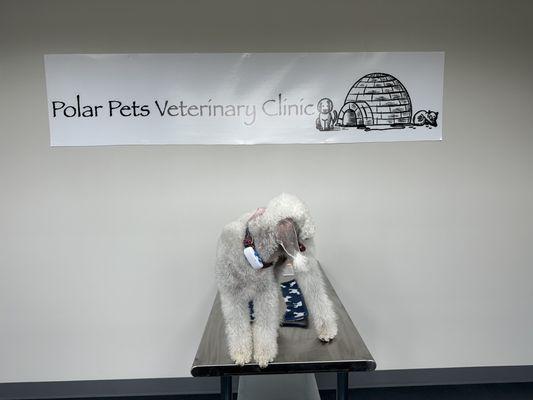 Polar Pets Veterinary Clinic