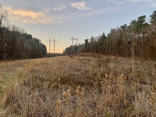 Savannah River Bluffs Heritage Preserve