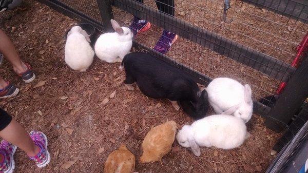 Babies, babies everywhere!