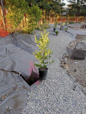 Farias Landscape and Fences