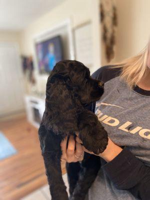 Cindy’s UR Home Grooming