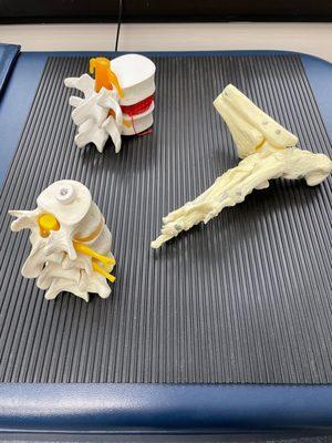 Stamford Chiropractic & Rehab Center