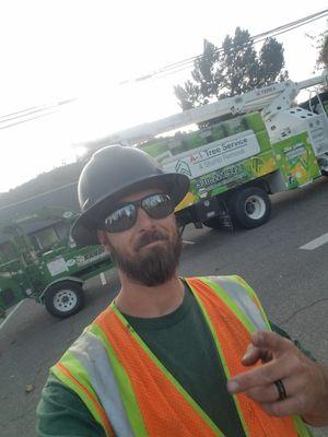 A-1 Tree Service & Stump Removal