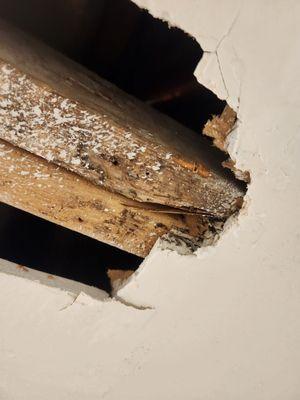 Zeal Property Management