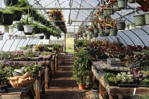 Hill's Nursery & Greenhouses