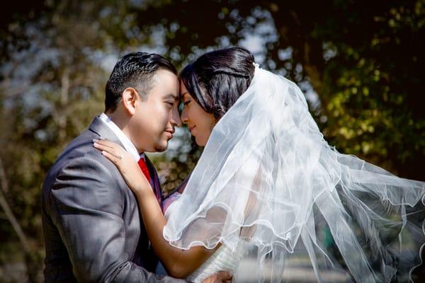 Lamarque Photography