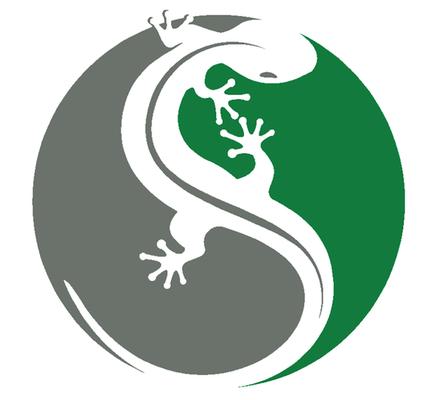 Green Gecko IT