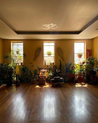 Body Politic Acupuncture