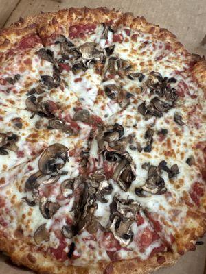 Pizza Transit Authority