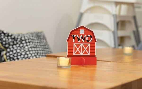 Farm animals - Our go green + decoration package(matching centerpieces)