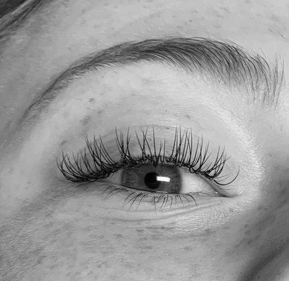 Pestaña Beauty Lash Extension