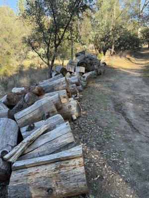 California Vipassana Center