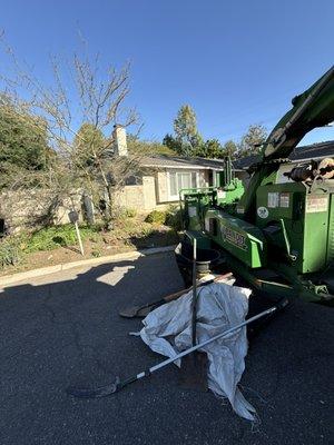 Sebs Tree Service Landscaping Construction