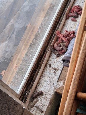 My Space Office & Storage