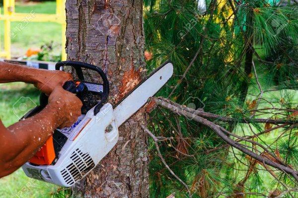 Perkins Property Maintenance