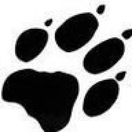 DunganSoft Technologies