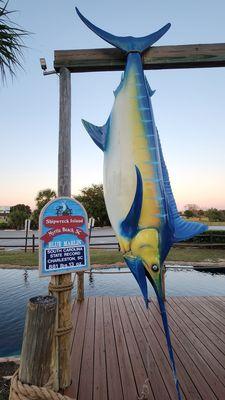 Shipwreck Island Adventure Golf