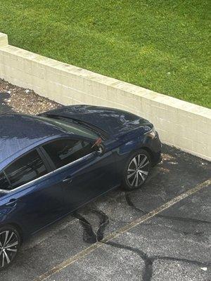 Nissan of Streetsboro