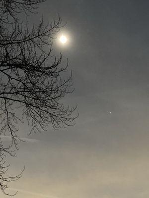 Tree Gods Tree Service