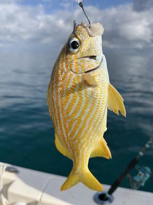 Great fishing day. We caught about 20 fish today!!! But had to throw several back in the water.