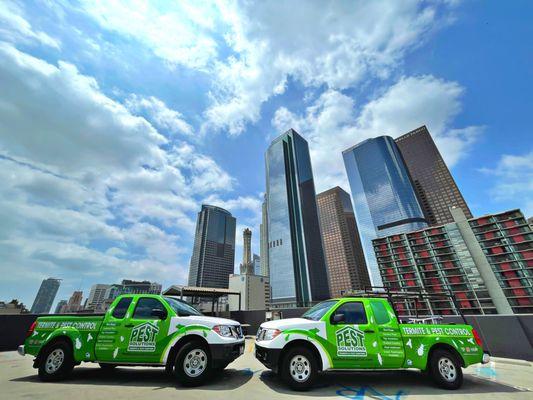 Pest Solutions Termite & Pest Control