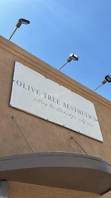 Olive Tree Aesthetics