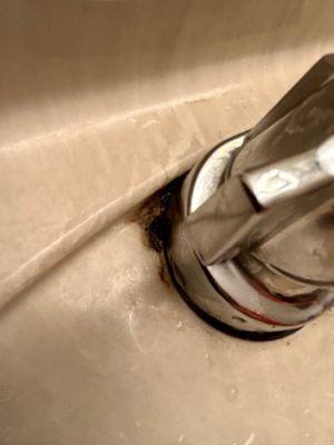 Black mold on bathroom sink