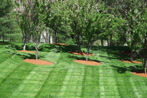 Northern Premium Landscaping