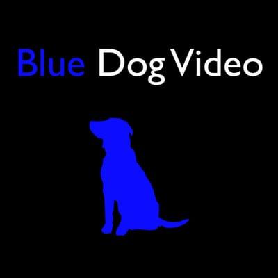 Blue Dog Video