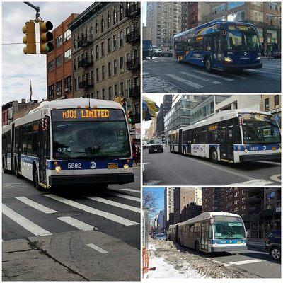 M98, M101, M102, and M103 Buses