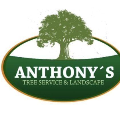 Anthony's Tree Service & Landscape