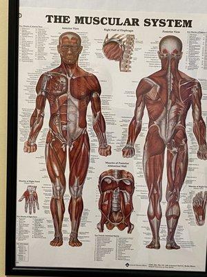 Cornerstone Physical Therapy-Gahanna/New Albany