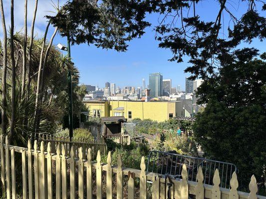 A beautifully framed view of the city skyline.