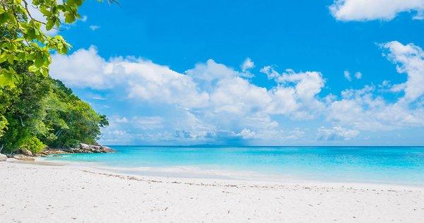 A relaxing beach scene.