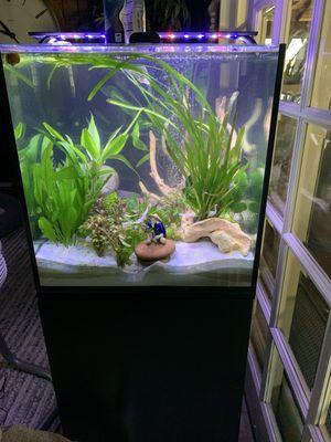 Atlantic Tropical Aquarium