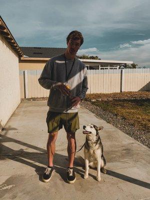 The Training Company