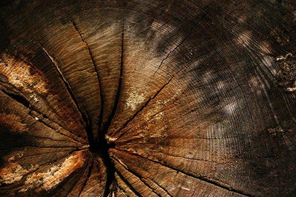 Livia's Unisex Beauty Salon