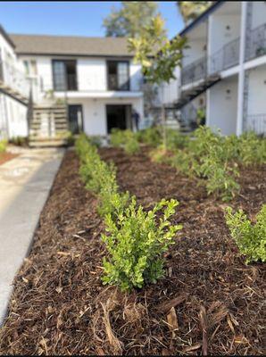 New Generation Landscape Management